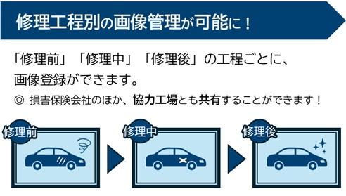 コグニフォトベース